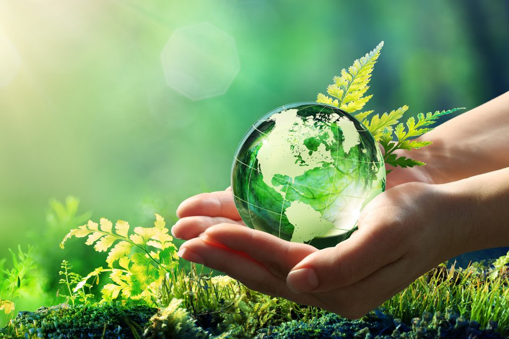 Nachhaltigkeit bei Südzucker:<br> Wir übernehmen aktiv ökologische und soziale Verantwortung, während wir unser Unternehmen zum Wachstum führen. Image