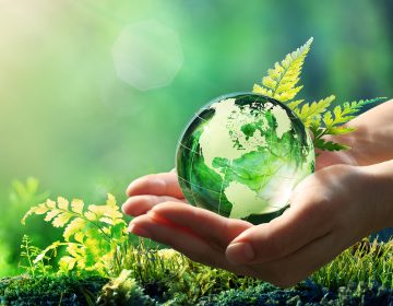 Nachhaltigkeit bei Südzucker:<br> Wir übernehmen aktiv ökologische und soziale Verantwortung, während wir unser Unternehmen zum Wachstum führen. Image