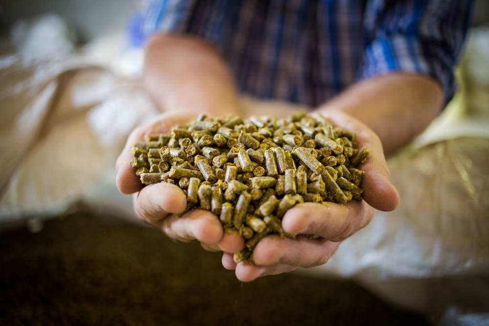 Animal Feed Sugar Beet Pellets / Pasza dla zwierzat