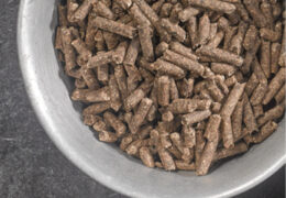 Sugar Beet Pulp Pellets Image