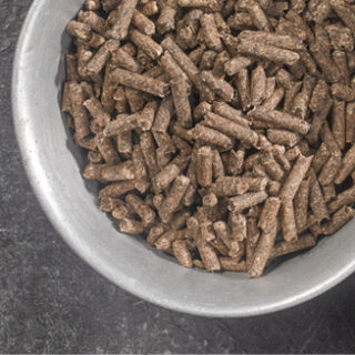 Sugar Beet Pulp Pellets Image