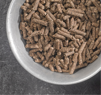 Sudzucker Beet Pulp Pellets Qs Certified Available In Organic Quality