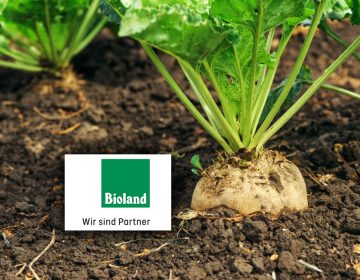 Sucre Bio de Betterave avec label Bioland Image