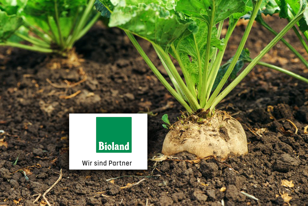 Sucre Bio de Betterave avec label Bioland Image