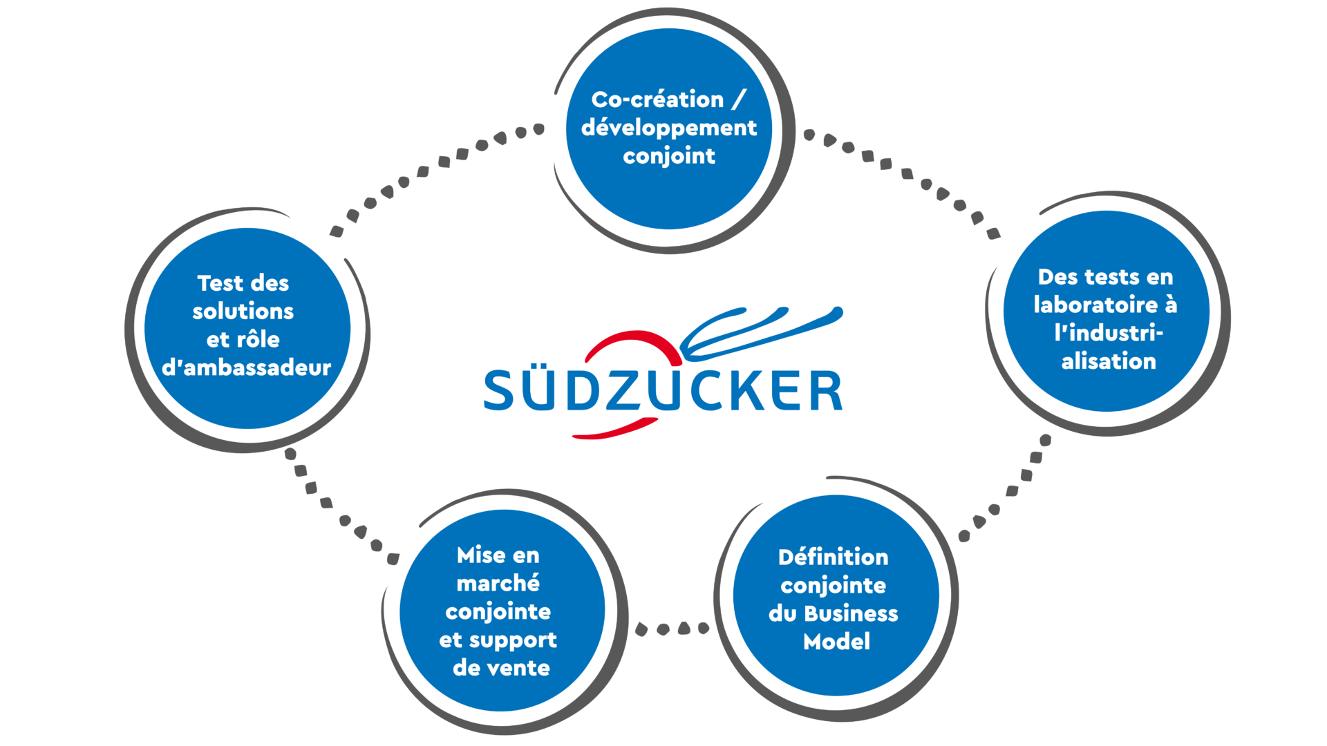 Infographie sur les différents services numériques chez Südzucker Group