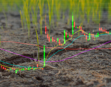 World sugar market price signals may promote better decision-making Image