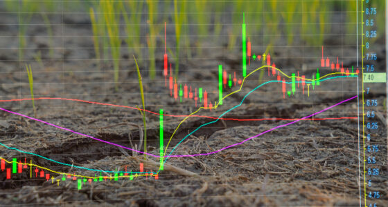 World sugar market price signals may promote better decision-making Image