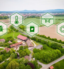 Badania Südzucker w obszarze rolnictwa:<br>z myślą o zrównoważonej i innowacyjnej uprawie buraka cukrowego Image