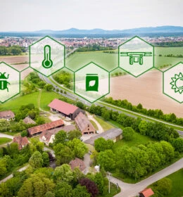 Agricultural Research @ Südzucker:<br>For Sustainable and Innovative Sugar Beet Cultivation Image