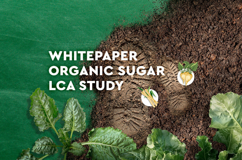 Whitepaper Badanie LCA cukru ekologicznego Image