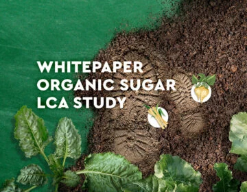 Livre blanc Étude ACV sur le sucre biologique Image