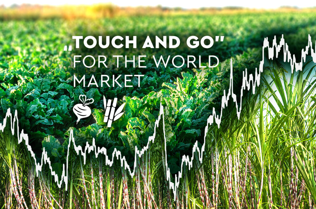 “Touch and Go” for the World Market Image