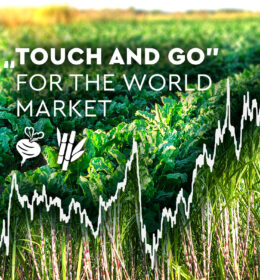 “Touch and Go” for the World Market Image