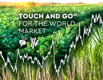 “Touch and Go” for the World Market Image