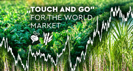 “Touch and Go” for the World Market Image