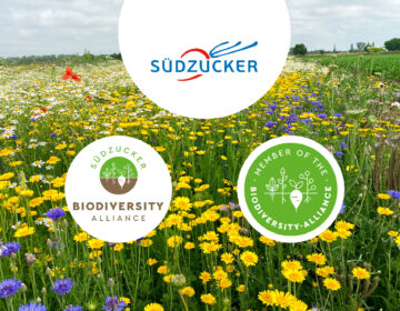 Südzucker Biodiversity Alliance Image