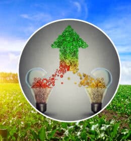 « Collaboration est le maître-mot » : le rôle d’écosystèmes d’innovation ouverte pour construire l’avenir des aliments et de la bio-circularité. Image