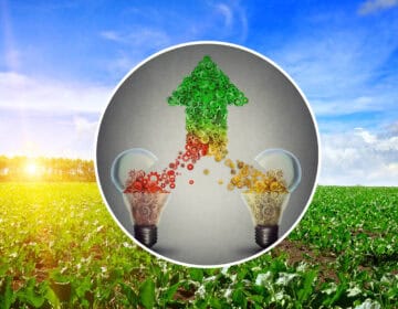 ‘Collaboration Is Key’: the Role of Open Innovation Ecosystems in Shaping the Future of Food and Bio-Circularity Image