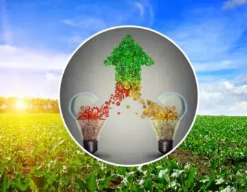 „Współpraca jest kluczem ”: rola otwartych innowacji ekosystemów   w kształtowaniu przyszłości żywności i bio- cyrkulacji. Image