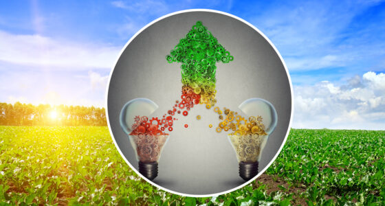 „Zusammenarbeit ist entscheidend“: die Rolle offener Innovations-Ökosysteme bei der Gestaltung der Zukunft von Lebensmitteln und Biozirkularität Image