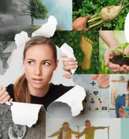 Challenging Times Call For High Transparency Image