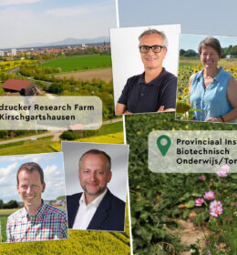 Nachhaltige Landwirtschaft in der Zucker Division:  Sustainable Farming Days für Industriekunden Image