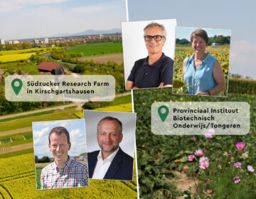 Nachhaltige Landwirtschaft in der Zucker Division:  Sustainable Farming Days für Industriekunden Image