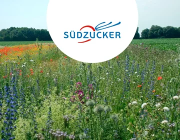 Fostering Biodiversity: Key Results of a 5-Year Research Study and Insights on Südzucker’s Biodiversity Alliance Image