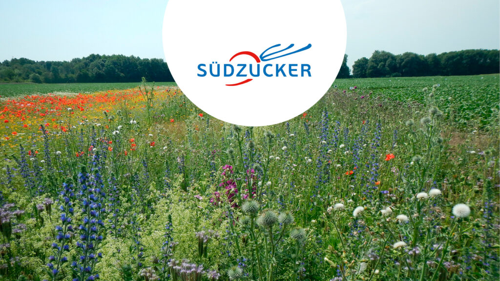 Promotion de la biodiversité: les principaux résultats de 5 ans de recherche et d’observations de la Südzucker Biodiversity Alliance Image