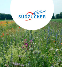 Promotion de la biodiversité: les principaux résultats de 5 ans de recherche et d’observations de la Südzucker Biodiversity Alliance Image