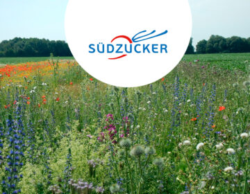 Promotion de la biodiversité: les principaux résultats de 5 ans de recherche et d’observations de la Südzucker Biodiversity Alliance Image