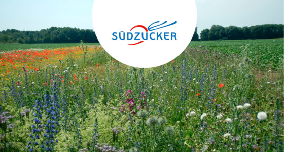 Promotion de la biodiversité: les principaux résultats de 5 ans de recherche et d’observations de la Südzucker Biodiversity Alliance Image