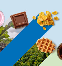 Südzucker Sweet Trends Report 2024 Image