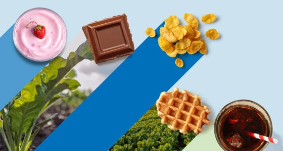 Südzucker Sweet Trends Report 2024 Image