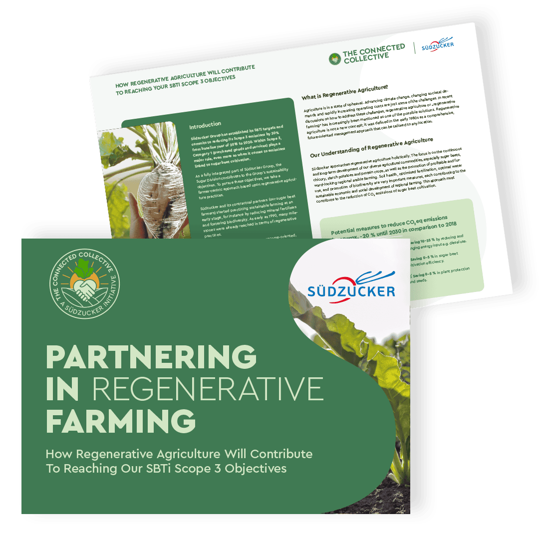 mockup for download brochure