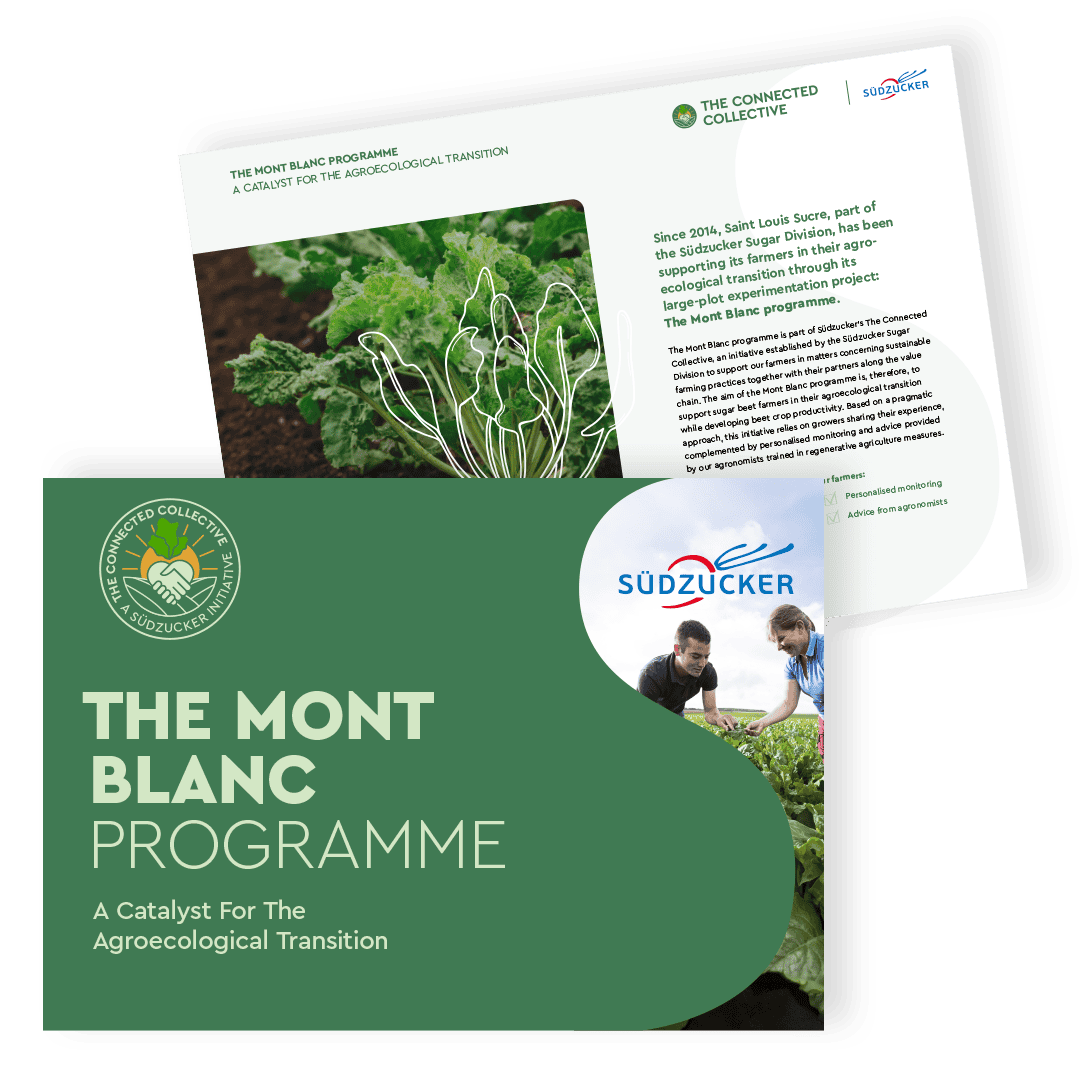 mockup for download brochure