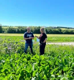 10 Years of Flower Strips: Interview with a Sugar Beet Farmer Image