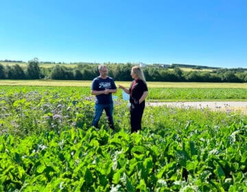 10 Years of Flower Strips: Interview with a Sugar Beet Farmer Image