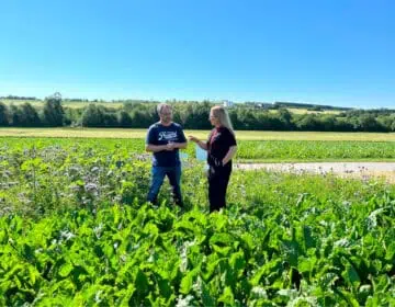 10 lat pasów kwietnych: Wywiad z plantatorem buraka cukrowego Image