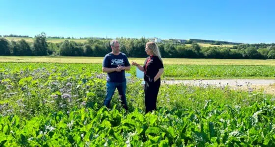 10 ans de bandes fleuries : Interview avec un cultivateur de betteraves sucrières Image