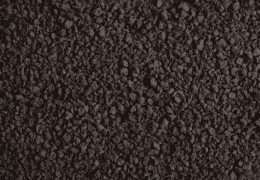 BeetKraft® Image