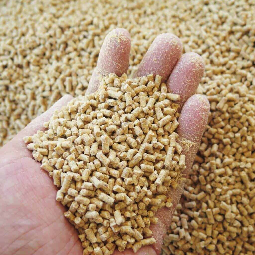 Close-up of animal food in one hand