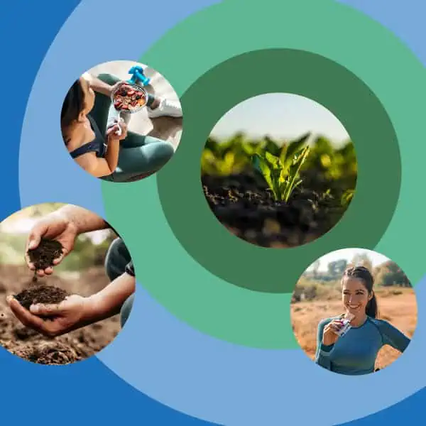 SÜDZUCKER SWEET TRENDS REPORT 2025 Image