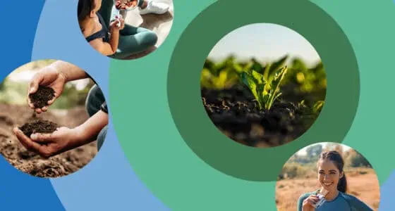 Team Up for Exploring Tomorrow – Südzucker Sweet Trends Report 2025 Image