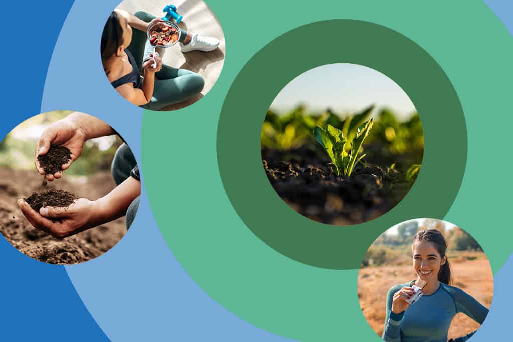 Team Up for Exploring Tomorrow – Südzucker Sweet Trends Report 2025 Image