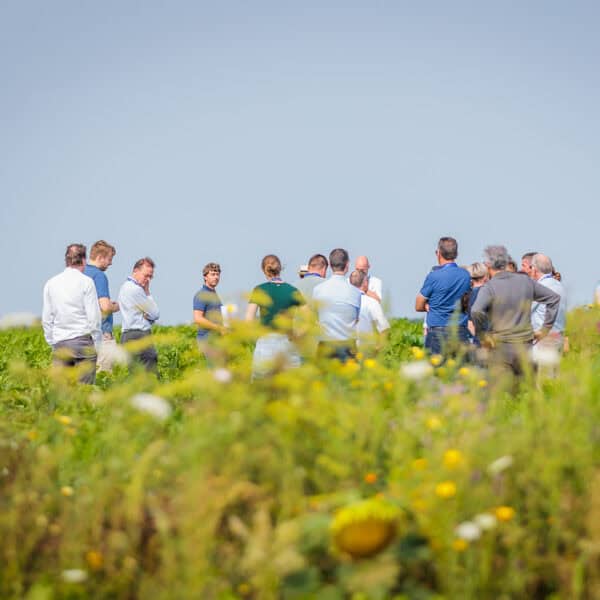 people in a field