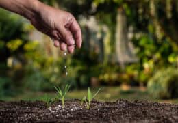 Reduce the use of mineral nitrogen fertilisation by Image