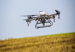 Improving catch crop biomass by Image