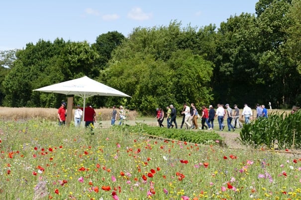 Impressions from the sustainable farming day