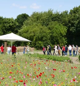 Team Up for Sustaining Tomorrow – Another Round of Südzucker’s Sustainable Farming Days Successfully Wrapped Image